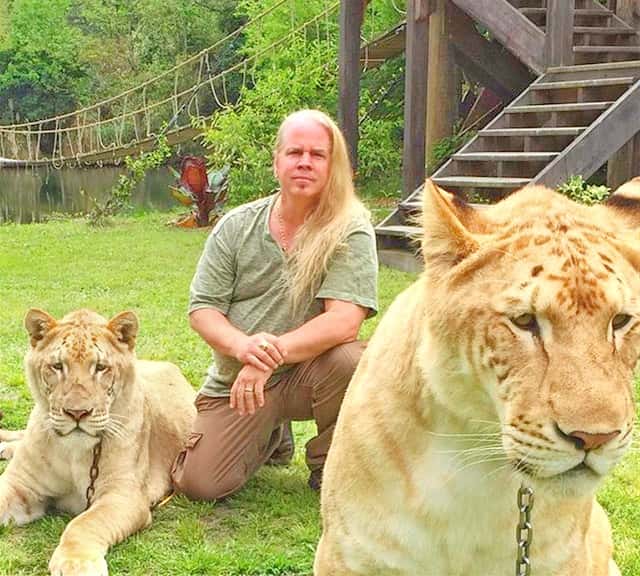 Ligers in Guinness World Records will help conservation of endangered species.