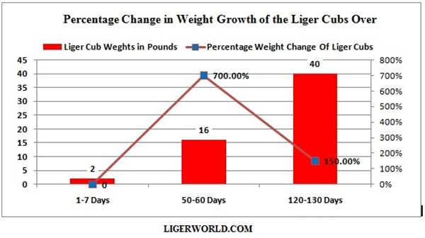 Liger Graph Indicating Percentage Increase within Liger Growth.