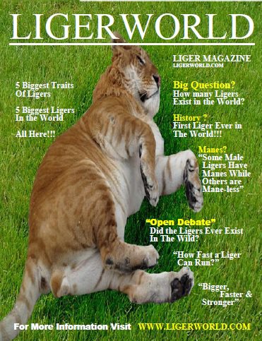 Liger Magazine Front Page. 