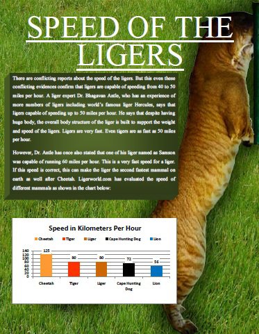 Liger Magazine explores Speed of the Ligers. 