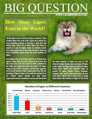 Liger Magazine Explores Population of the Ligers. 