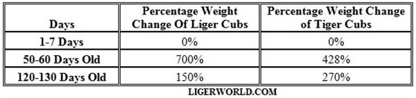 Liger Cubs Percentage Weight Change