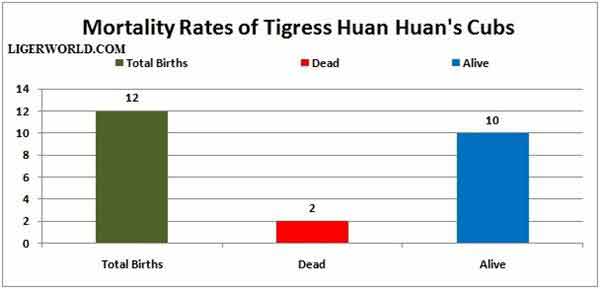 Liger Cubs Mortality Rates.