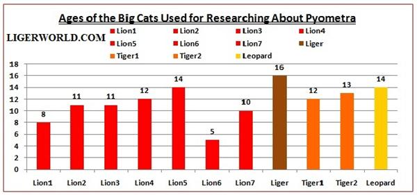 Big Cat Speed Chart