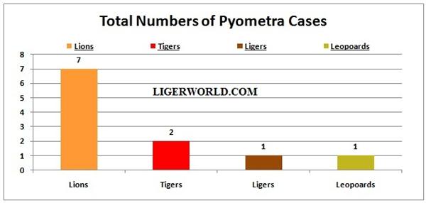 Ligers and Pyometra Cases.