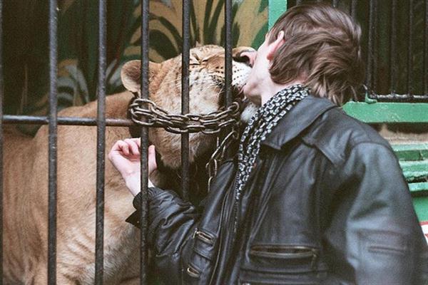 En liger kysser sin herre.