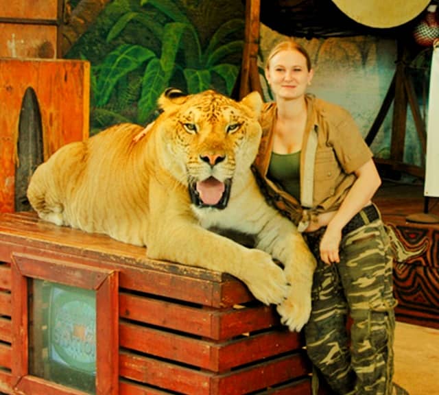 Jungle Island in Florida is popular for having Ligers.