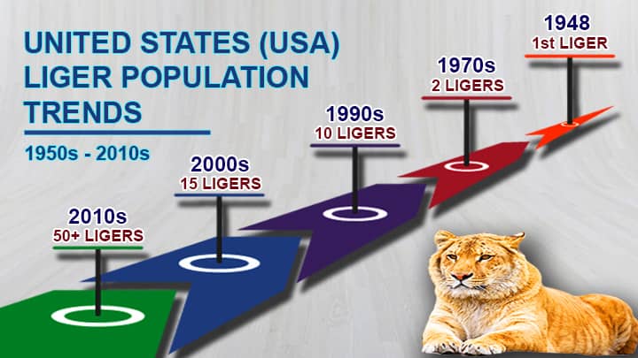 USA liger population trends from 1948 to 2019.