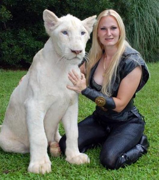 White ligers in South Korea - There is no photographic evidence of these ligers existence in South Korea.