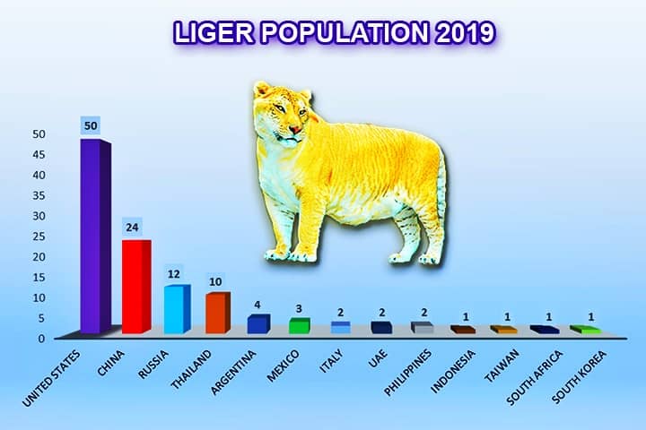 Liger Population in 2019.