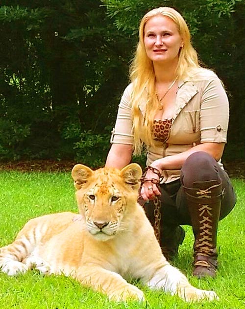 China York is a Liger Expert at Myrtle Beach Safari, South Carolina, USA.