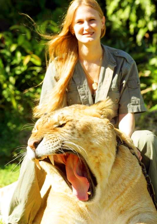 China York Riding on the Back of Hercules the liger. 