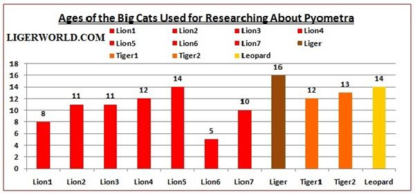 Liger, Tigers and Lions Lifespan. Liger has the highest lifespan in the group.
