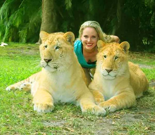 Moksha Bybee with Liger Cubs. 