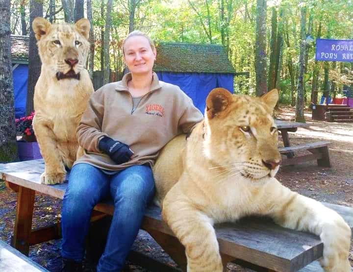 White Liger. Type of Ligers.