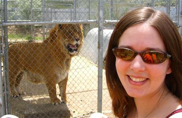 A Vistor having a Photograph with huge liger. Hobbs the liger weighed more than 1000 pounds.