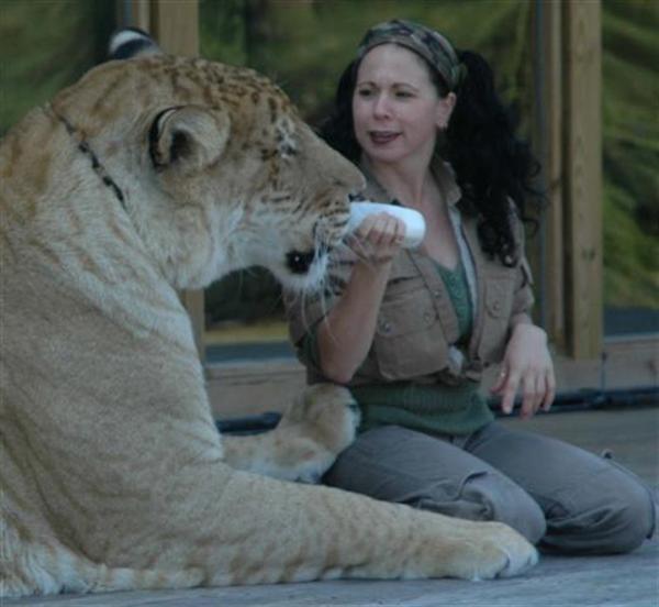 Liger Mother Rajani Ferrante