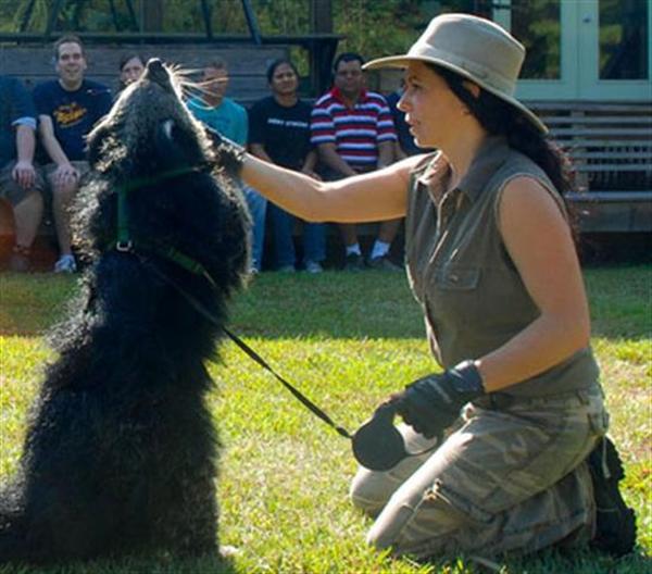 Rajani Ferrante training animals