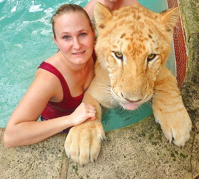 China York - Female Animal Trainer - Myrtle Beach Safari