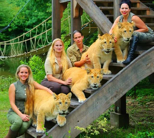 Myrtle Beach Safari - The Liger Hub