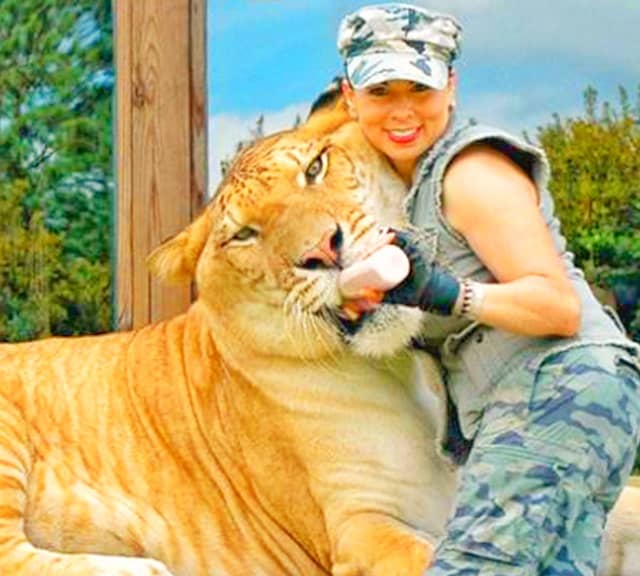 Rajani Ferrante - Female Animal Trainer - Myrtle Beach Safari