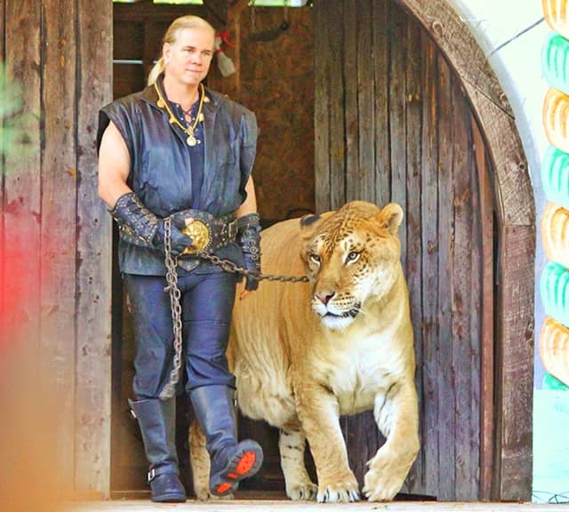 Ligers are not Sterile according to Dr. Bhagavan Antle.