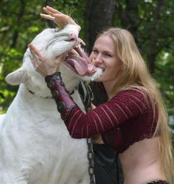 White Ligers existence is currently not present in the world. 